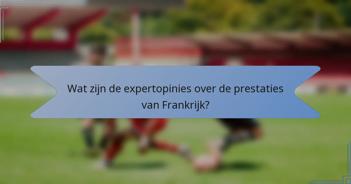 Wat zijn de expertopinies over de prestaties van Frankrijk?